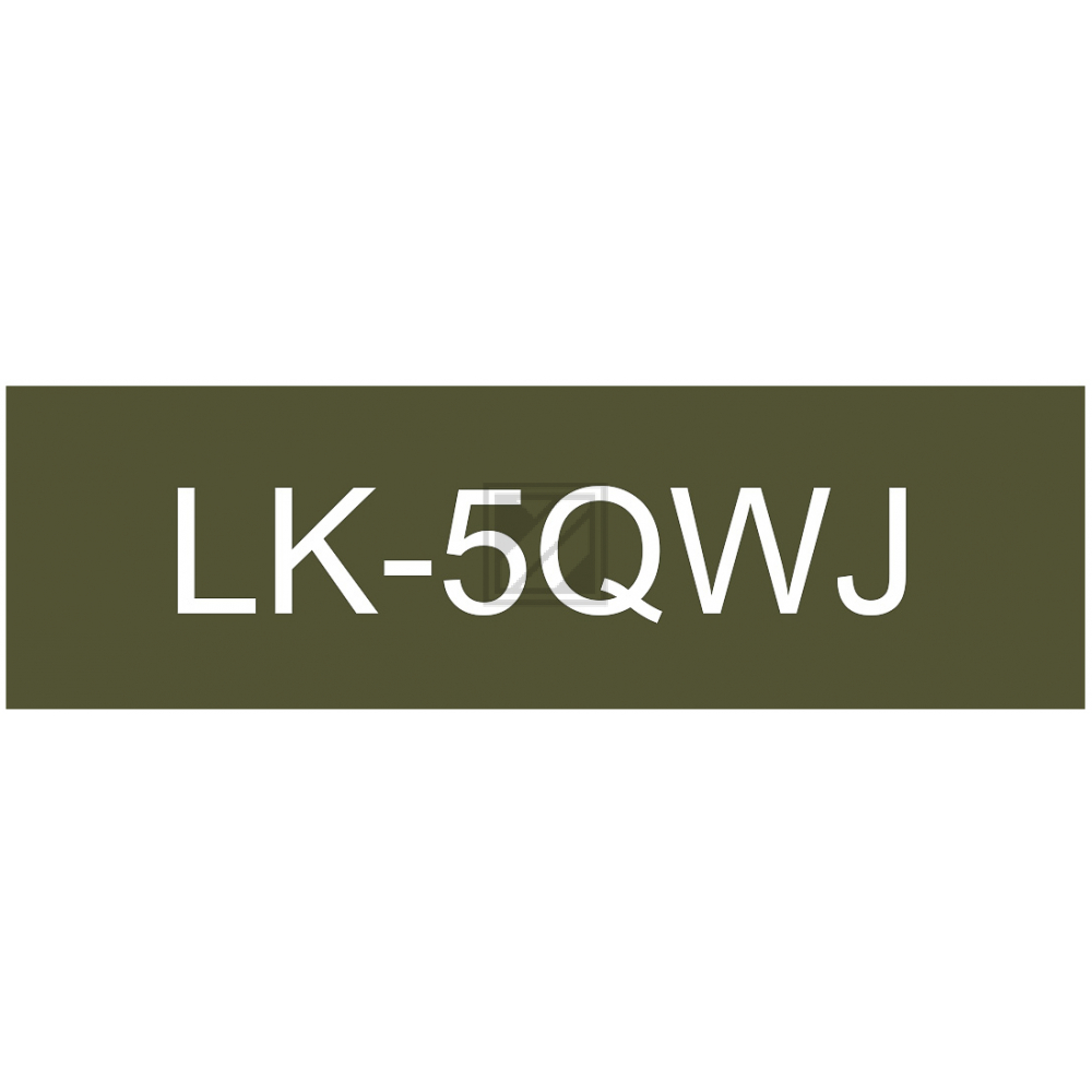 C53S672089 // LK5QWJ / original Epson DirectLabel / C53S672089