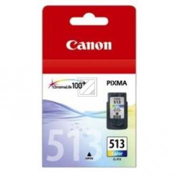 2971B001 // CL513 / original CANON Druckkopfpatrone color / 2971B001 / 349 S. / 13.00 ml