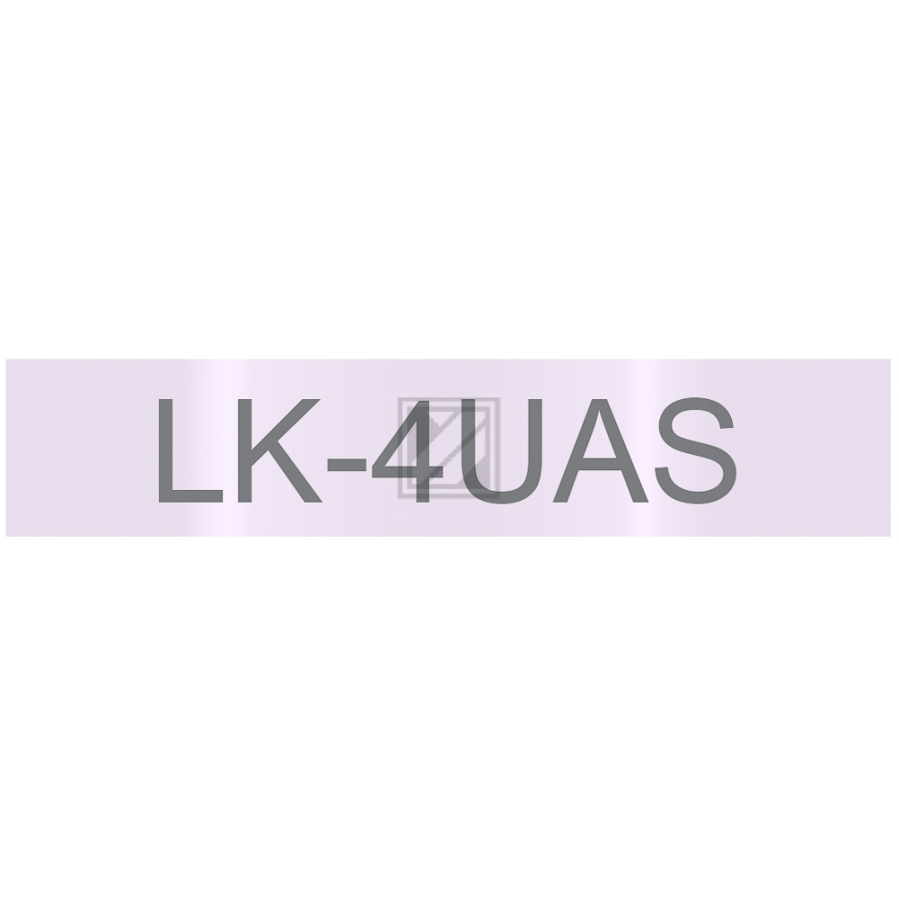 C53S672107 // LK4UAS / original Epson DirectLabel / C53S672107