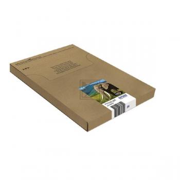 C13T24284510 // 24 / schwarz / original EPSON Tintenpatrone MultiPack / C13T24284510 / 360 S.