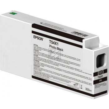 C13T54X100 // T54X100 / original EPSON Tintenpatrone schwarz hell / C13T54X100 / 350.00 ml