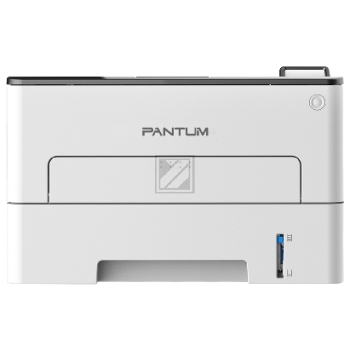 P 3300 DW