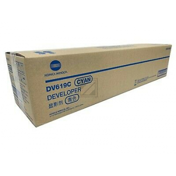 A9C80KD // DV619C / original KONICAMIN Entwickler / A9C80KD / 600000 S.