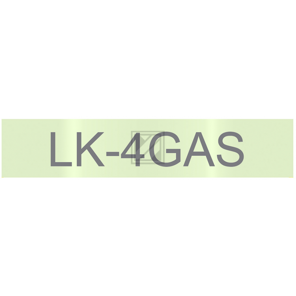C53S672105 // LK4GAS / original Epson DirectLabel / C53S672105