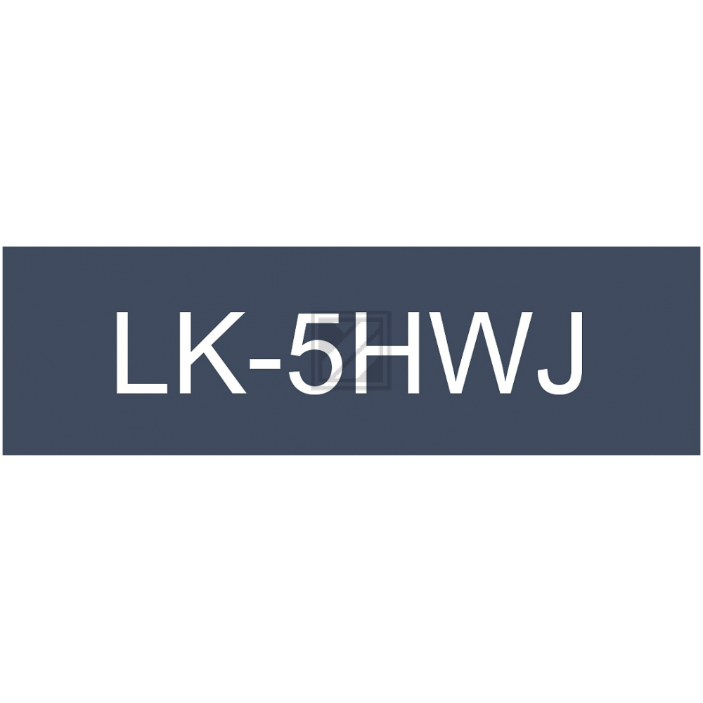 C53S672085 // LK5HWJ / original Epson DirectLabel / C53S672085